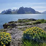 Panorama Lofoten Lysvollhuset * Vareid