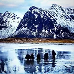 Hébergement de vacances Panorama Lofoten Lysvollhuset Vareid