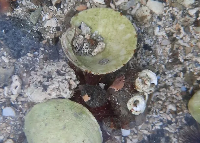 Panorama Lofoten Lysvollhuset Semesterbostad Vareid
