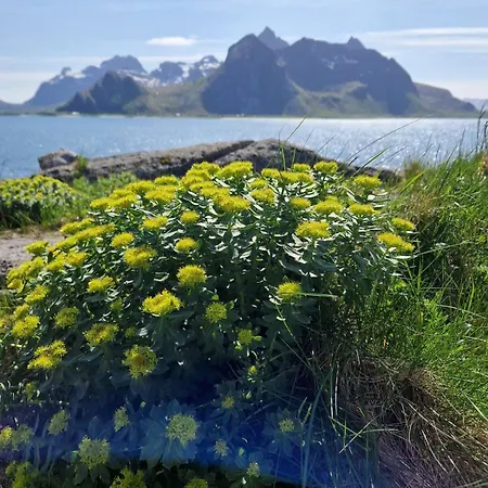 Panorama Lofoten Lysvollhuset Vareid