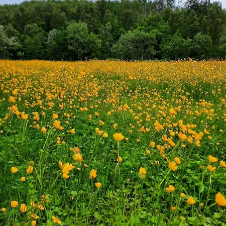 Panorama Lofoten Lysvollhuset * Vareid