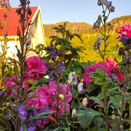 Vakantiehuis Panorama Lofoten Lysvollhuset *