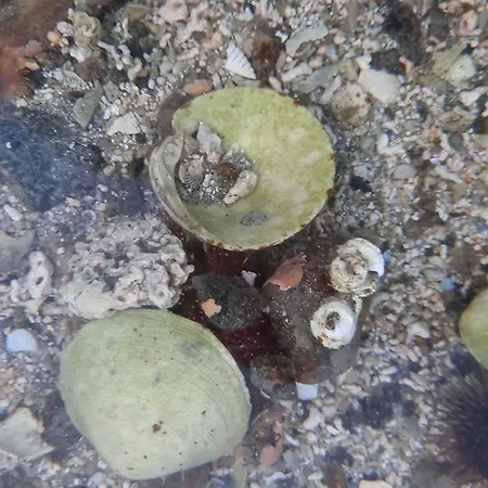 Panorama Lofoten Lysvollhuset Vakantiehuis Vareid